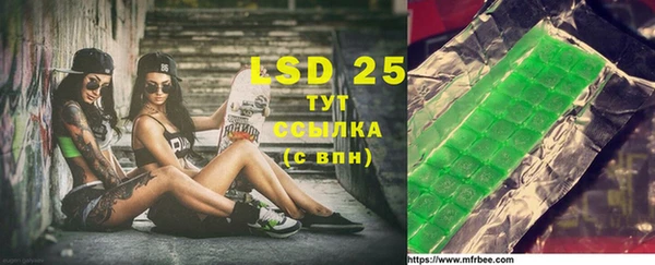 PSILOCYBIN Алзамай