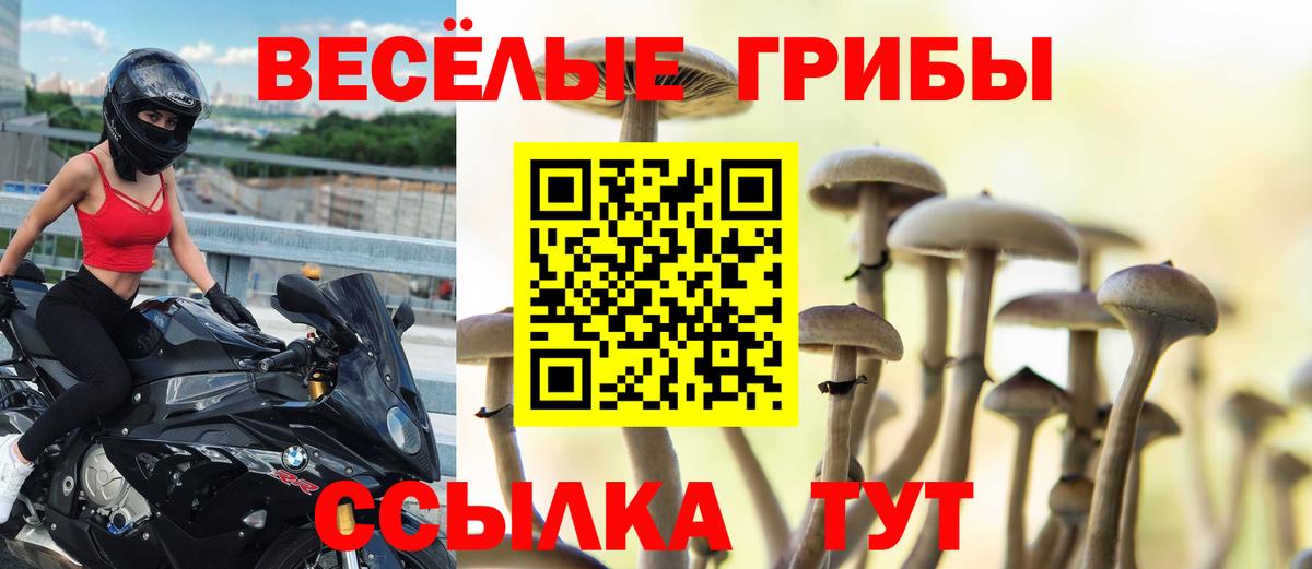 где можно купить   Псилоцибиновые грибы мухоморы  Вход с VPN  Богородск 